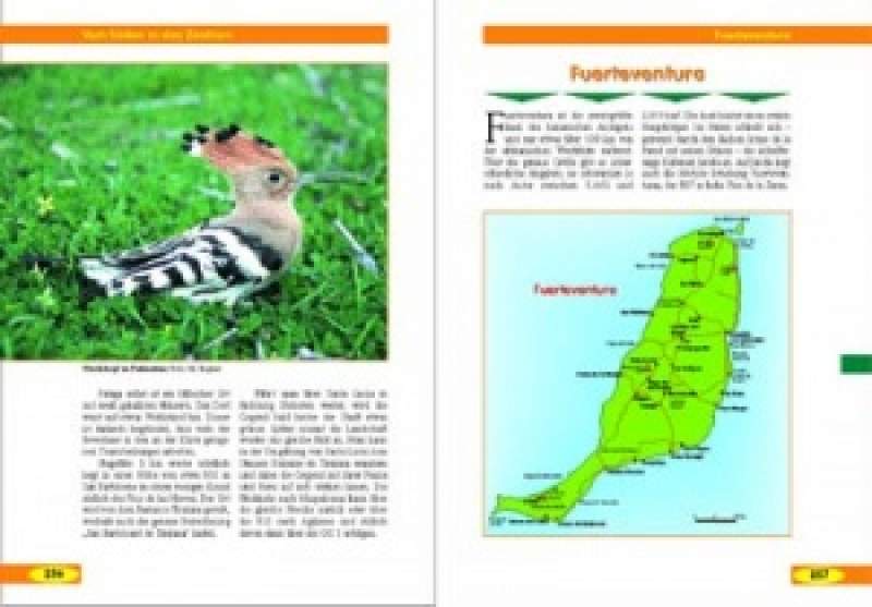 Preview: Kanarische Inseln – Naturreiseführer